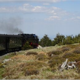 mit Sonne im Gepäck