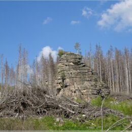 Schierker Feuerstein