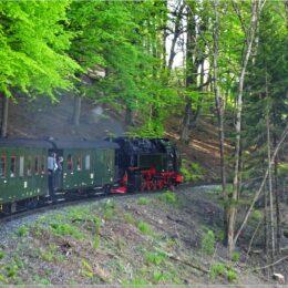 zurück nach Wernigerode