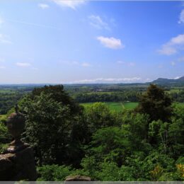 Blick von der William Wallace Statue