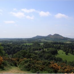 Scott’s View
