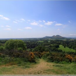 Scott’s View