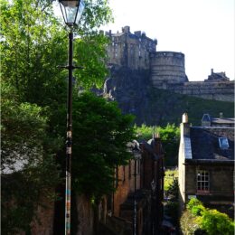 The Vennel