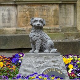 Greyfriars Bobby