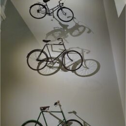 Royal Museum, National Museum of Scotland