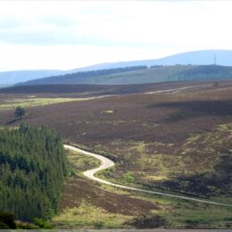 Cairngorms Nationalpark