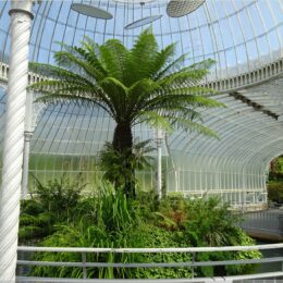 Botanischer Garten, Glasgow