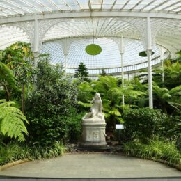 Botanischer Garten, Glasgow