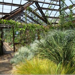Botanischer Garten, Glasgow