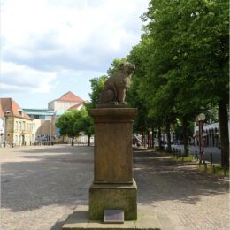 Löwenpudel