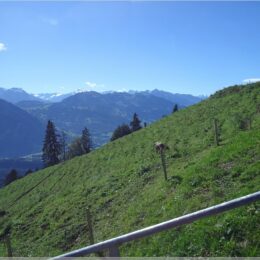 noch mehr Berge