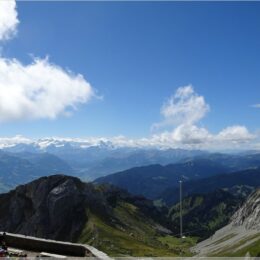 Blick vom Esel