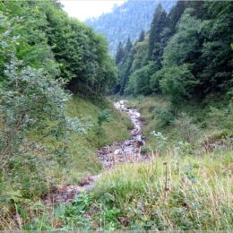 Wasserfall