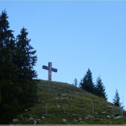 Stucklichriiz