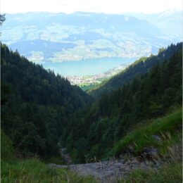 Wasserrinne