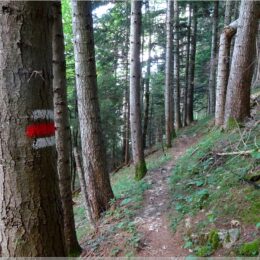 Wanderweg