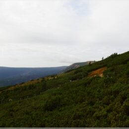 Blick über den Hang