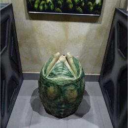 Aliens vs Predator Museum