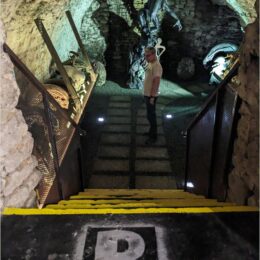 Aliens vs Predator Museum