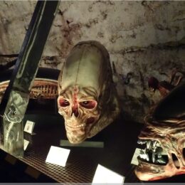 Aliens vs Predator Museum