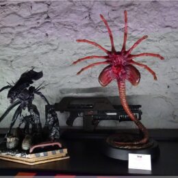 Aliens vs Predator Museum