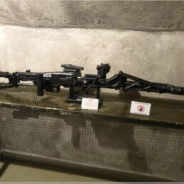 Aliens vs Predator Museum