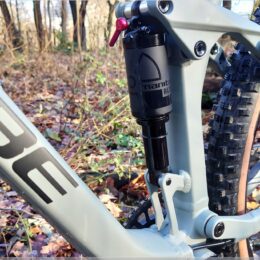 Manitou Federelement