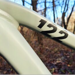 Cube Stereo One22 Pro