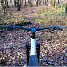 Blick über den Lenker