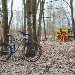 Cube Stereo One22 Pro