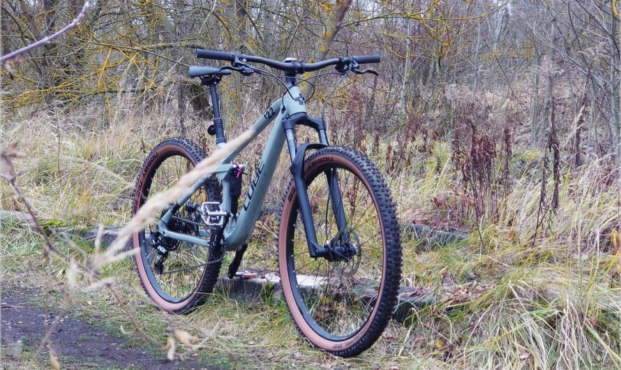 vollgefedert: Cube Stereo One22 Pro