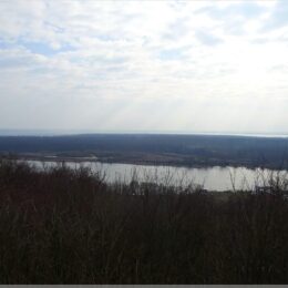 Blick vom Bismarckturm