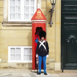 Die Königliche Leibgarde