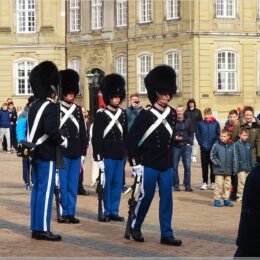 Die Königliche Leibgarde