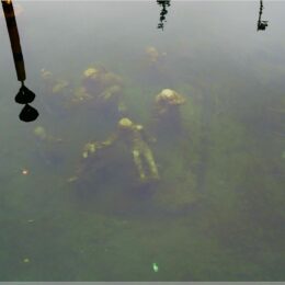 Agnete und der Wassermann