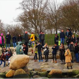 Die kleine Meerjungfrau