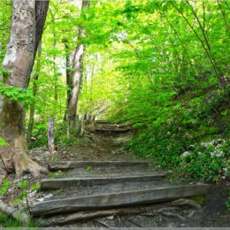 ja, ist nicht ganz so einfach der Weg