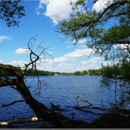 Blick über den Flakensee nach Woltersdorf