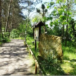 Wegweiser für die Erdzeitalter