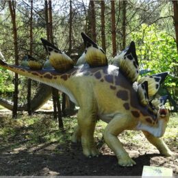 Stegosaurus