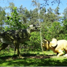 Tyranosaurus und Triceratops