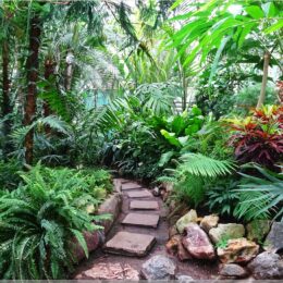 Botanischer Garten Bratislava