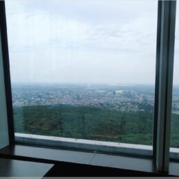 Blick vom Fernsehturm Bratislava