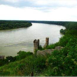 Die Donau an der Burg Devín