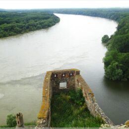 Zusammenfluss von Donau und March (re)