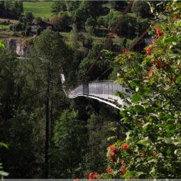 Goms Hängebrücke