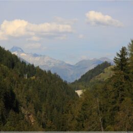 Blick von Goms Hängebrücke
