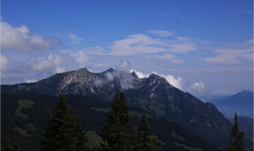 hinauf zum Jänzi