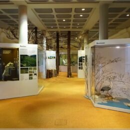 Sonderausstellung Flora und Fauna der Umgebung