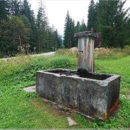 Brunnen